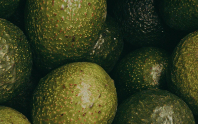 Fotografía del cultivo