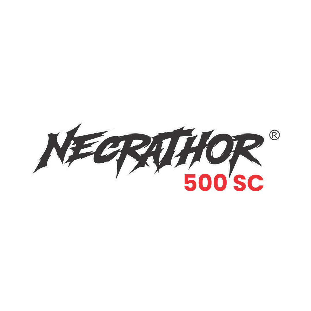 NECRATHOR 500 SC®